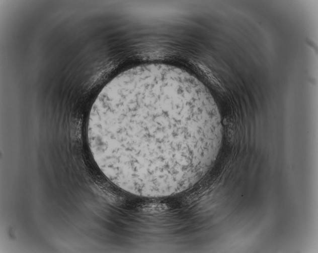 X0000096960543200802291123