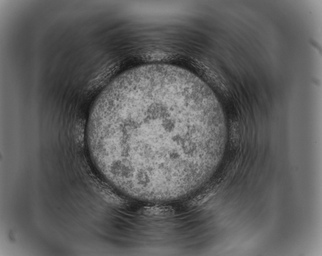 X0000096960545200802291123