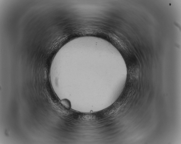 X0000096960546200802291123