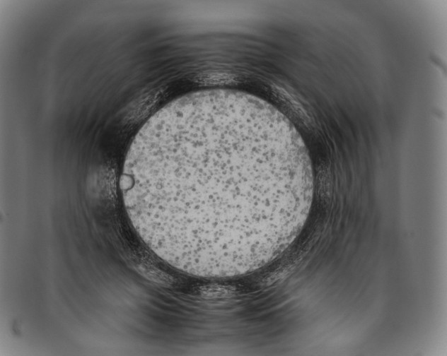 X0000096960549200802291123