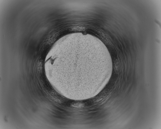 X0000096960551200802291123