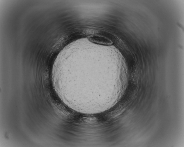 X0000096960552200802291123