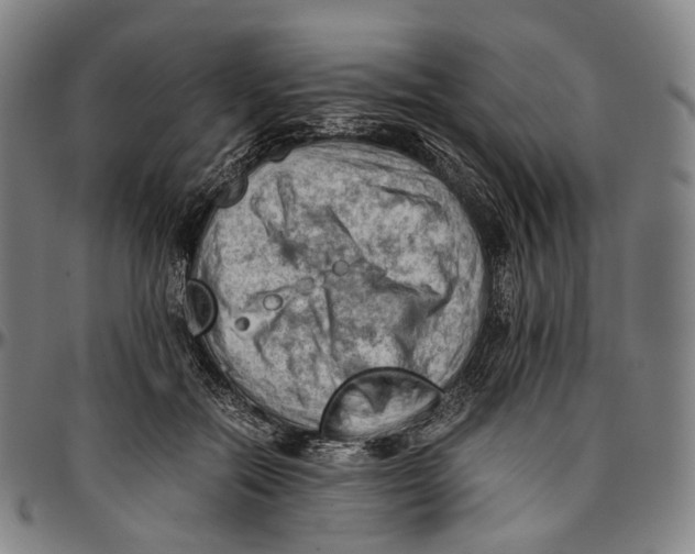 X0000096960554200802291124