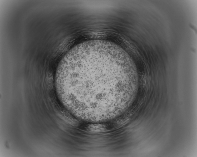 X0000096960557200802291124