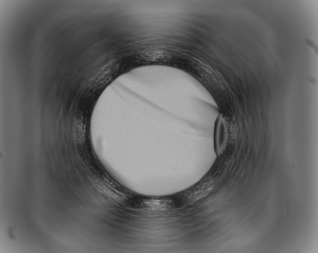 X0000096960558200802291124