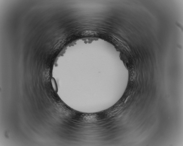 X0000096960560200802291124