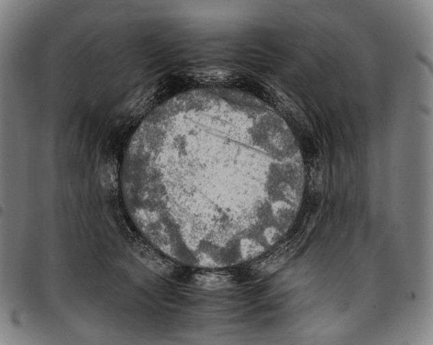 X0000096960561200802291124