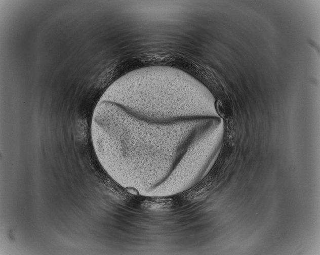 X0000096960563200802291124