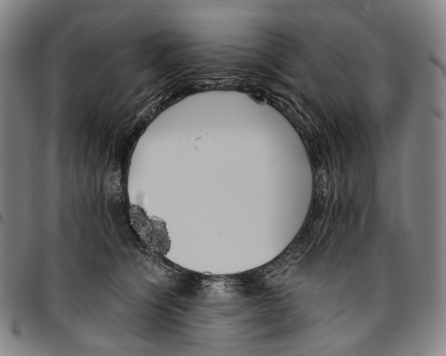 X0000096960564200802291124