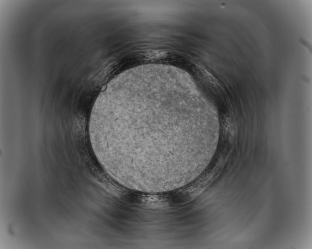 X0000096960565200802291124