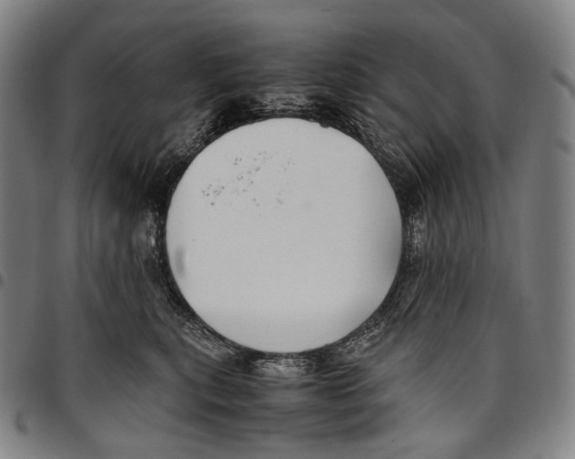 X0000096960567200802291124