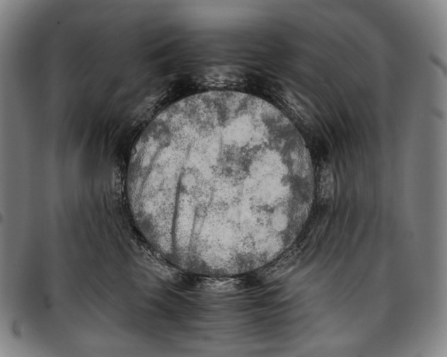 X0000096960569200802291124