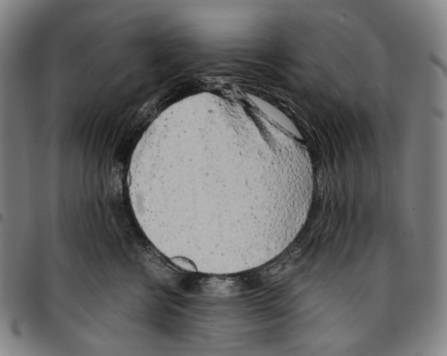 X0000096960570200802291124