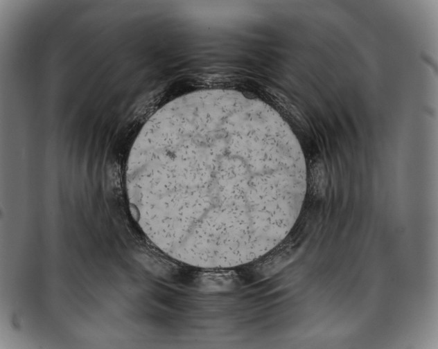 X0000096960571200802291124