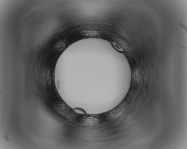 X0000096960572200802291124