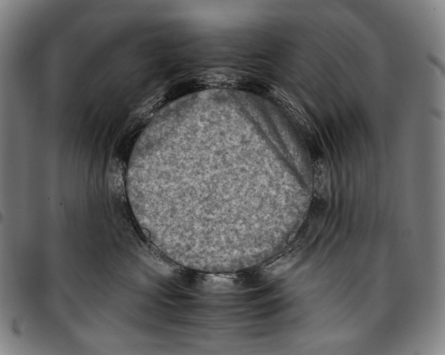 X0000096960573200802291124