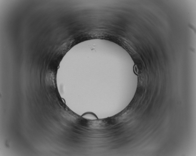 X0000096960575200802291124