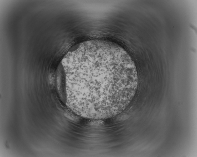 X0000096960576200802291124