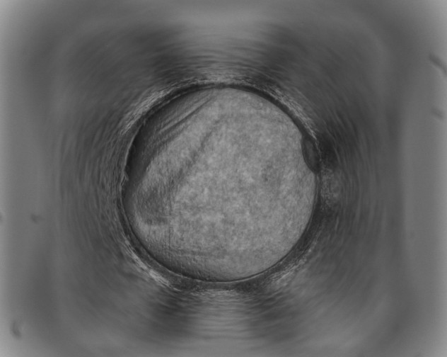 X0000096960577200802291123