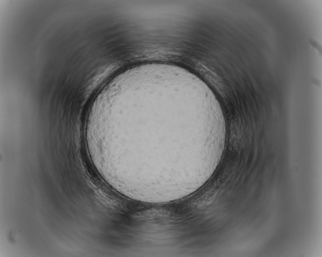 X0000096960578200802291123