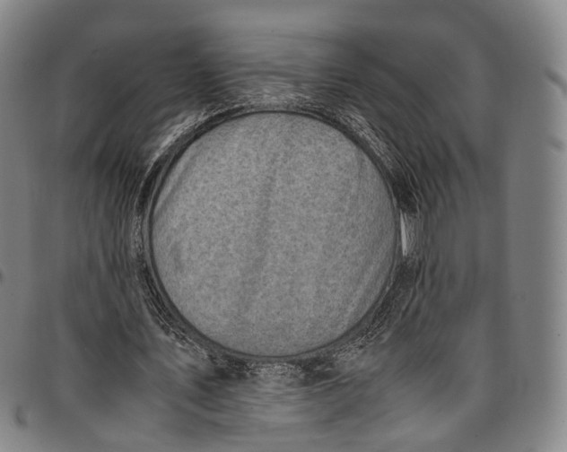 X0000096960579200802291123