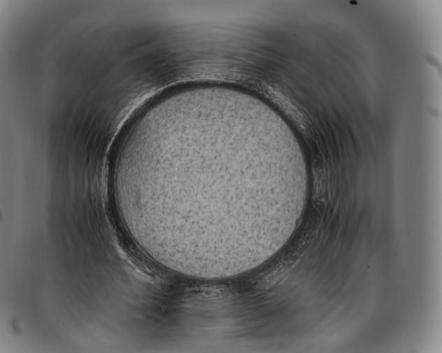 X0000096960580200802291123