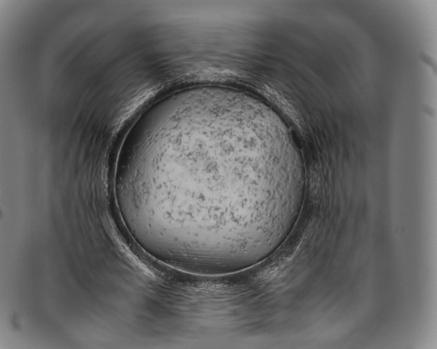 X0000096960581200802291123