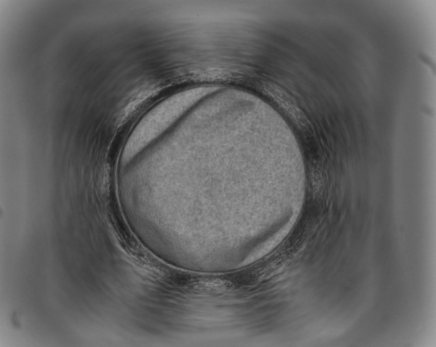 X0000096960583200802291123