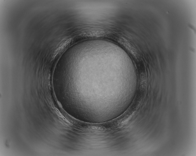 X0000096960585200802291123