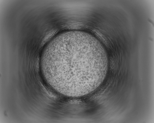 X0000096960586200802291123