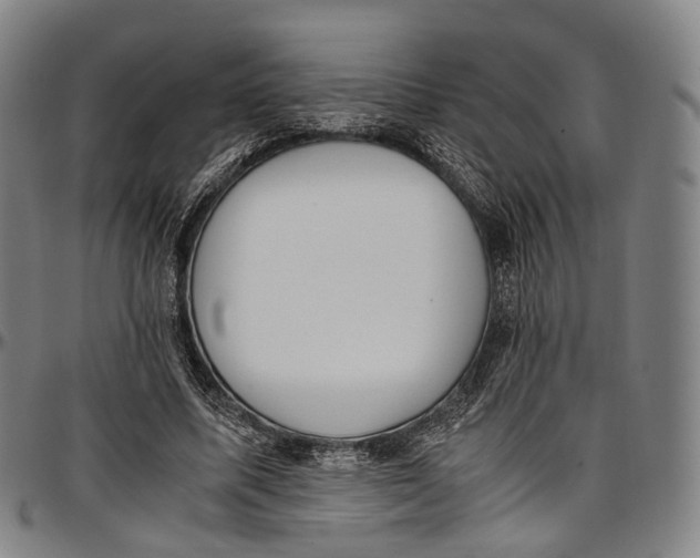 X0000096960587200802291123