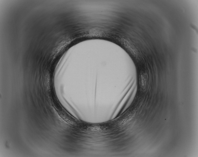 X0000096960588200802291123