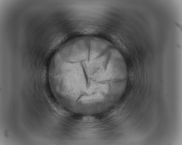 X0000096960591200802291123