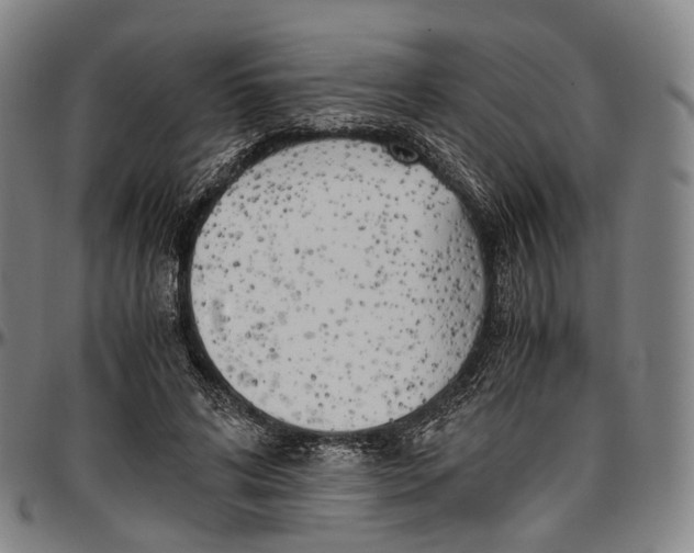 X0000096960592200802291123