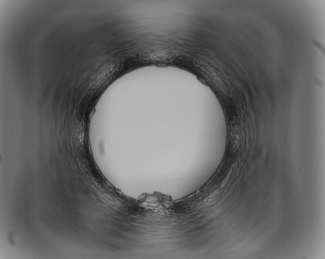 X0000096960593200802291123