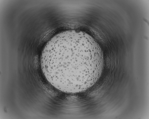 X0000096960594200802291123