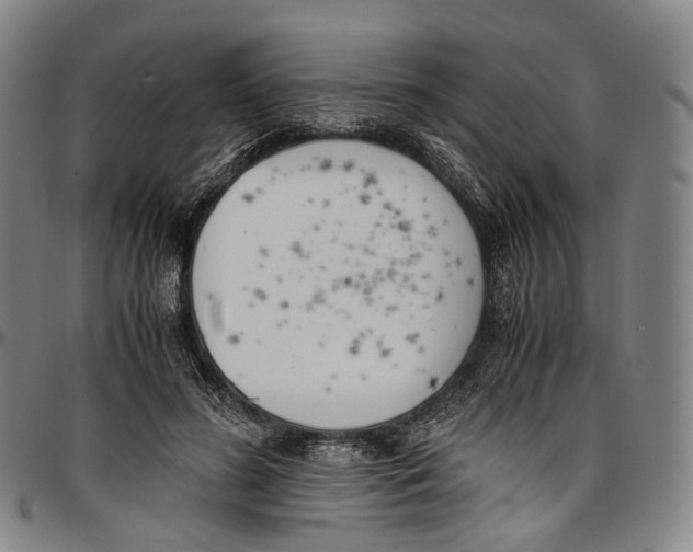 X0000096960596200802291123