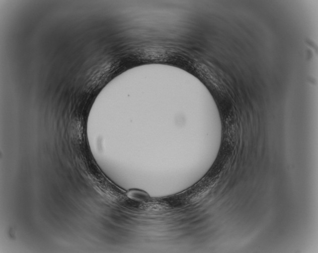 X0000096960597200802291123