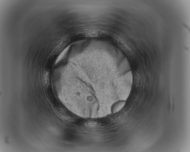 X0000096960598200802291123