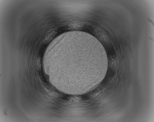 X0000096960599200802291123