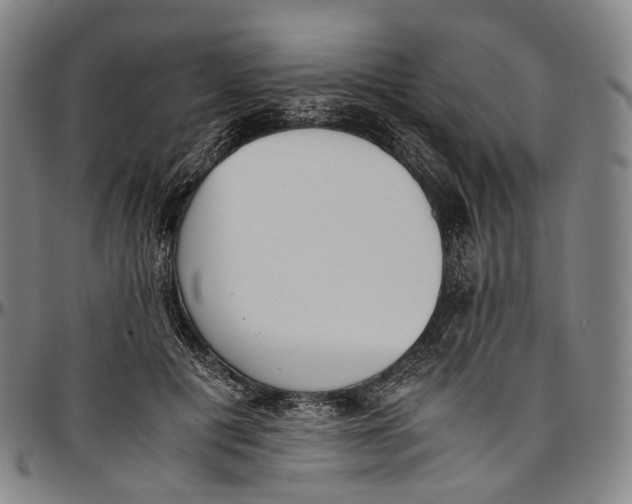 X0000096960601200802291123