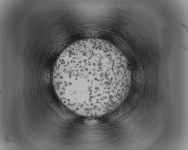 X0000096960602200802291123