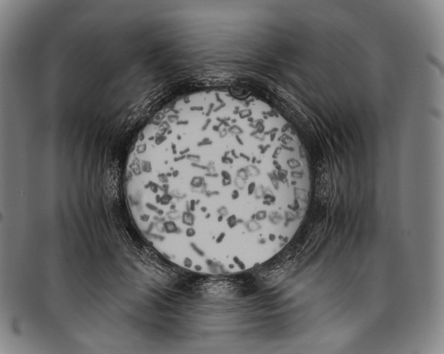 X0000096960604200802291123