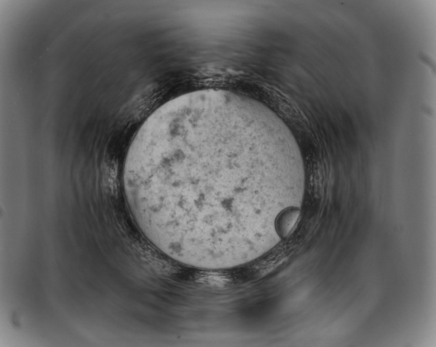 X0000096960610200802291123