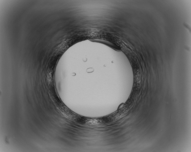 X0000096960611200802291123