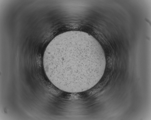 X0000096960612200802291123