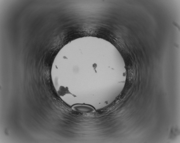 X0000096960613200802291123