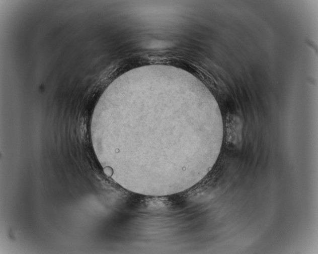 X0000096960618200802291123