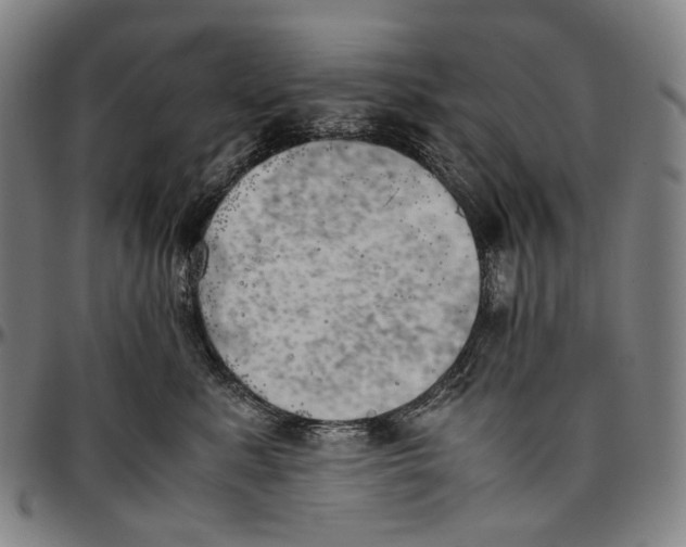 X0000096960619200802291123