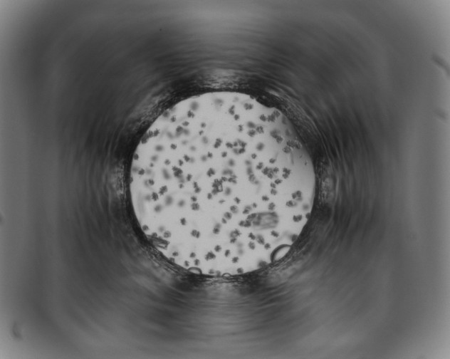 X0000096960620200802291123